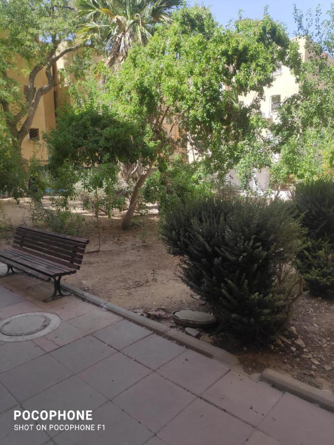 סוויטה של אלון Apartamento Arad Exterior foto