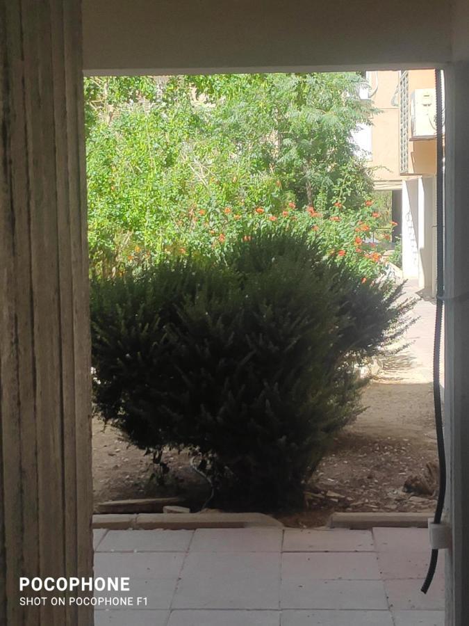 סוויטה של אלון Apartamento Arad Exterior foto